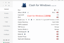 Clash for Windows 新手向安装实操指南|2025 保姆级图解-Clash教程博客