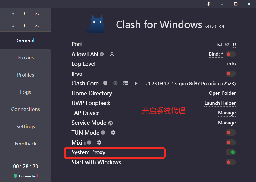 Clash for Windows开启系统代理